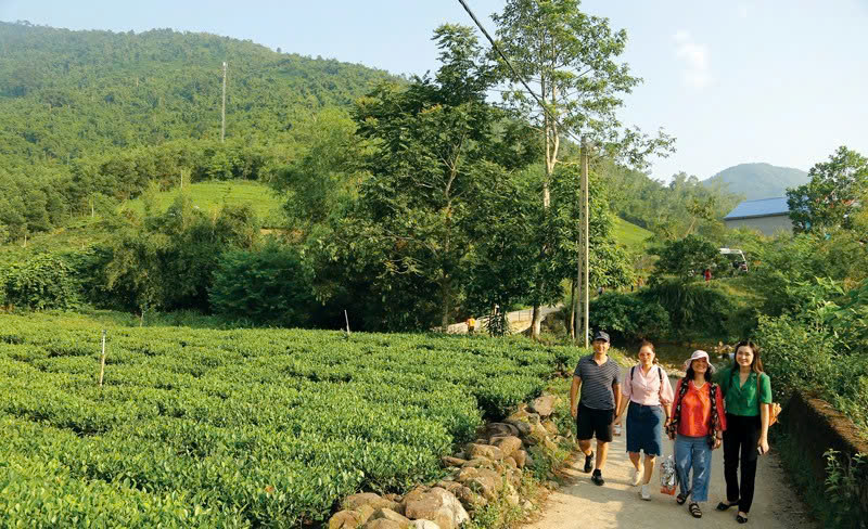 Pháp luật mở đường, du lịch nông nghiệp bước vào “thời điểm vàng”